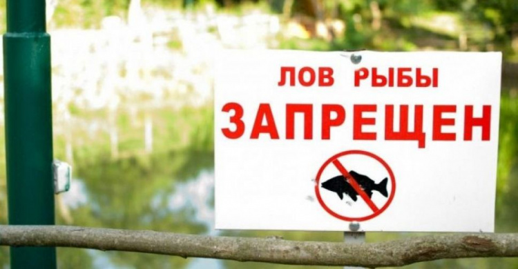 Авдеевским рыбакам: с апреля в Донецкой области запрещен лов рыбы