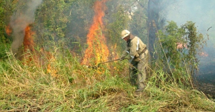 Донетчина: пожаров на открытых территориях стало больше