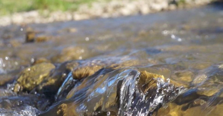 В Донецкой области в режиме онлайн будут отслеживать качество воды в реках