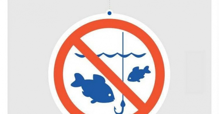 В Донецкой области с 1 апреля устанавливается нерестовый запрет на ловлю рыбы