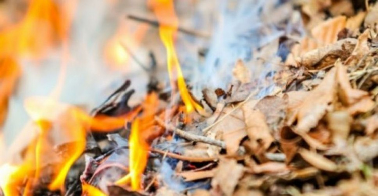 Украина задыхается от странного запаха, жителей страны призывают не сжигать листья