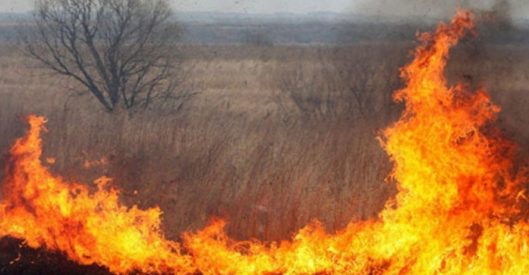 Природные экосистемы Донетчины за выходные горели шесть раз