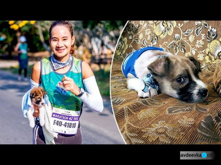 Жительница Таиланда во время марафона нашла потерявшегося щенка (ФОТО+ВИДЕО)