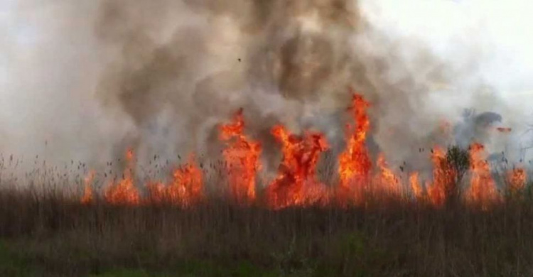 Из-за "бабьего лета" и беспечности людей в Донецкой области продолжают бушевать пожары