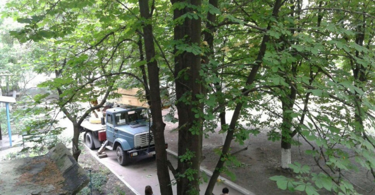 В Авдеевке ведутся работы по санитарной обрезке деревьев (ФОТОФАКТ)