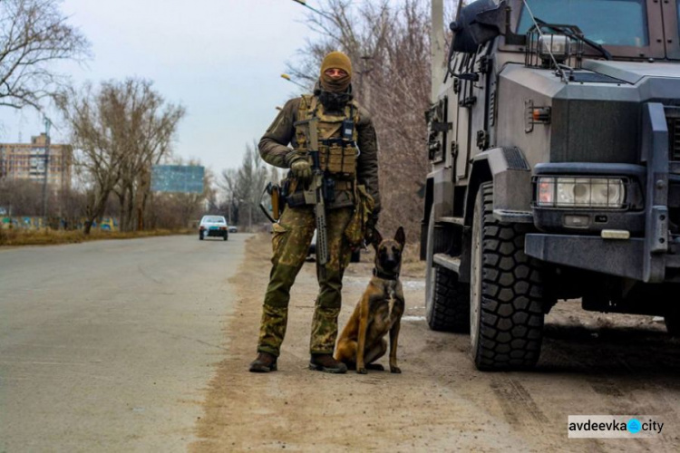 В Авдіївці службовий пес гвардійців виявив схованку з боєприпасами