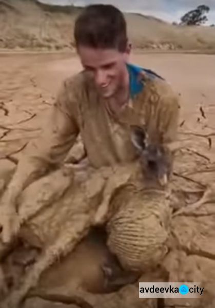 Австралийцу пришлось вываляться в грязи, чтобы спасти кенгуру (ФОТО+ВИДЕО)