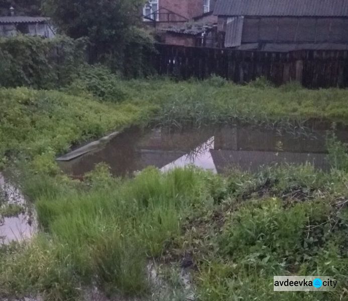В двух городах на Донетчине сильный дождь подтопил жилые дома (ФОТО)