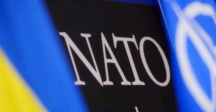 В Украине могут разместить военные базы НАТО