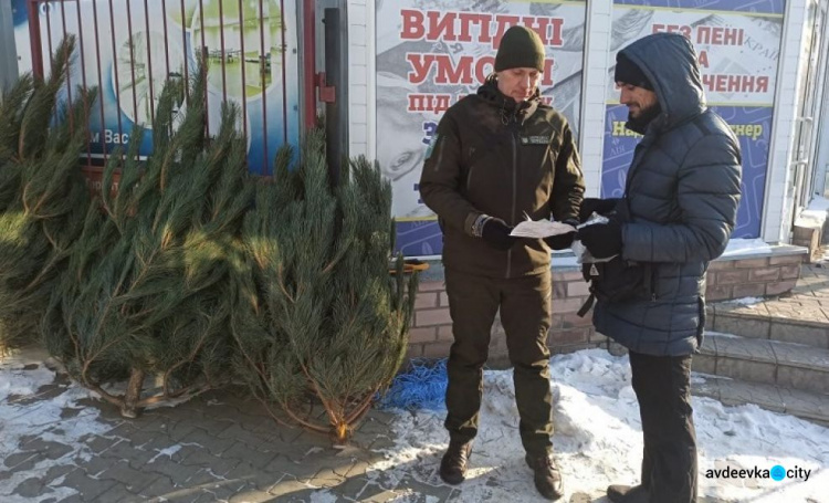 В Донецкой области экологическая инспекция начала привлекать к ответственности за незаконную торговлю елками