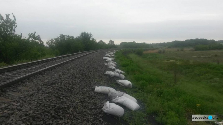 В Донецкой области остановили налетчиков на поезд с углем (ФОТО)