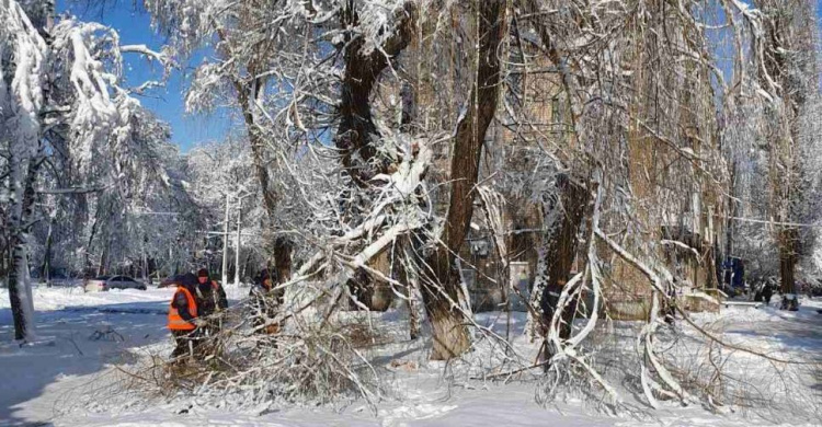 ФОТОФАКТ: авдеевские коммунальщики устраняют последствия снегопада