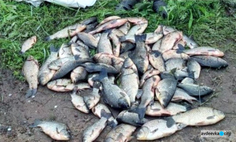 Мешканець Авдіївки відповість за незаконний вилов риби
