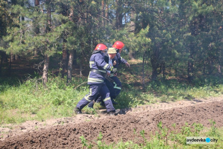 В Донецкой области 16 единиц техники и более 50 спасателей тушили лесной «пожар» (ФОТО)
