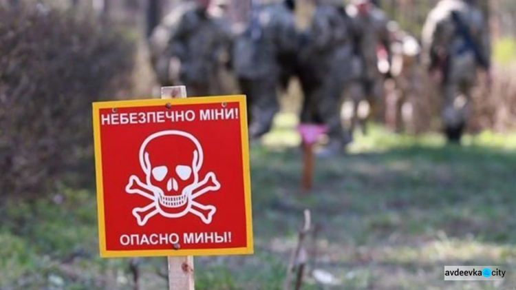 Украина занимает одно из первых мест в мире по числу мин