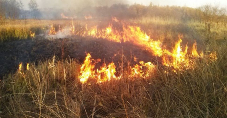 Донецкая область горит, чрезвычайный уровень пожароопасности сохраняется