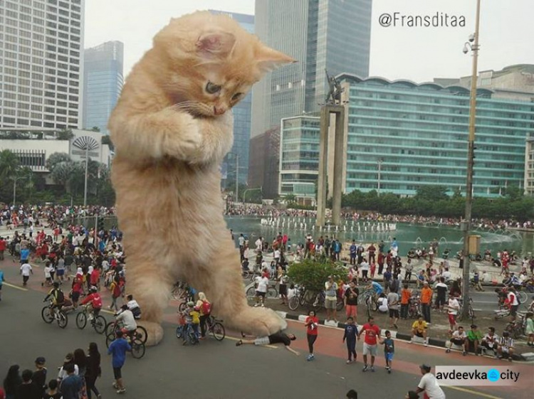 Котзилла! Индонезийский художник вписывает огромных кошек в городские пейзажи (ФОТО)
