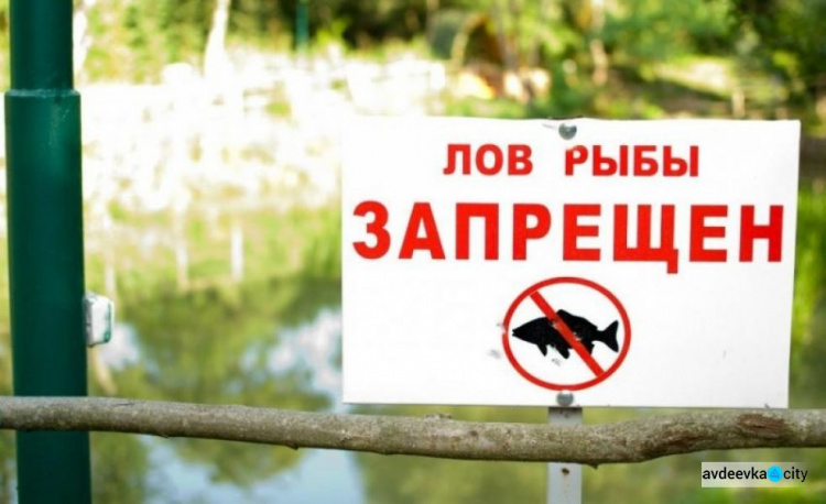 Авдеевским рыбакам: с апреля в Донецкой области запрещен лов рыбы