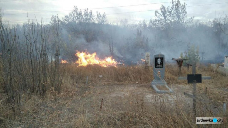 В Авдеевке ликвидировали пожар возле кладбища