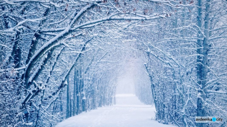 Климатолог пояснила, почему зимы в Украине стали теплее