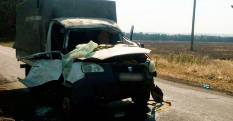 В Донецкой области на дороге на "Газель" упало дерево: два человека госпитализированы (ФОТО)