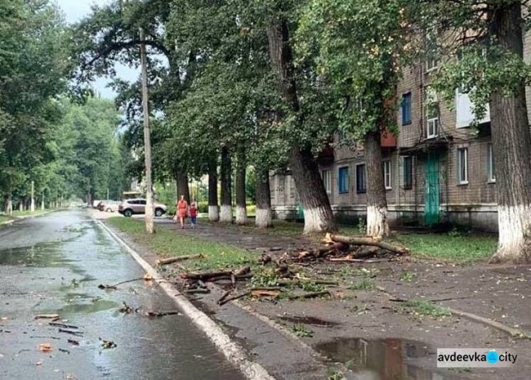 Коммунальщики Авдеевки приступили к ликвидации последствий урагана