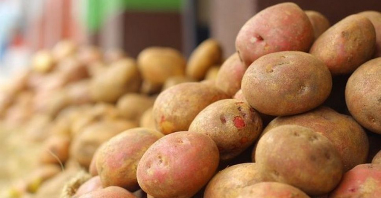 Эксперты пояснили, почему в Украине резко подорожал картофель