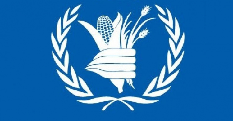 Всемирная продовольственная программа прекратит свою деятельность на Донбассе до конца июня
