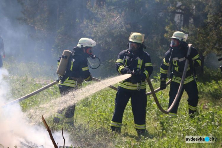 В Донецкой области 16 единиц техники и более 50 спасателей тушили лесной «пожар» (ФОТО)
