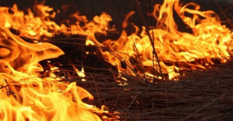 В Донецкой области из-за жары растет число пожаров в природных экосистемах