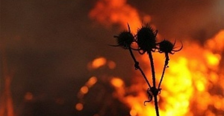 Уровень пожароопасности в  Донецкой области остается чрезвычайно высоким
