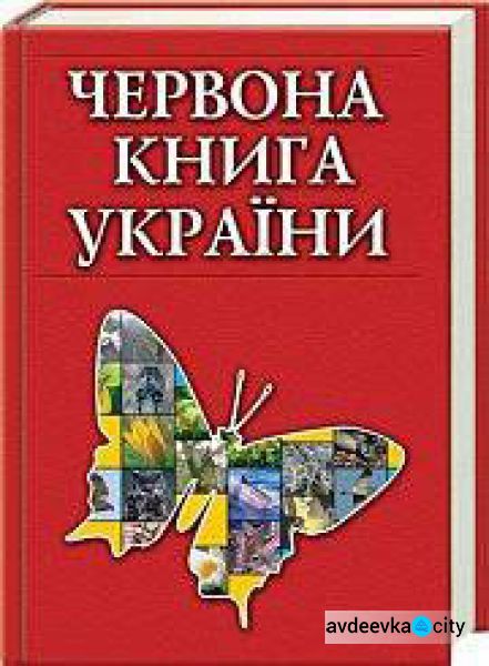 В Украине готовят четвертое издание Красной книги