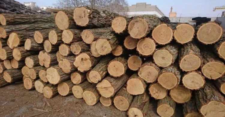 Пільговій категорії населення Авдіївки видадуть дрова для пічного опалення 