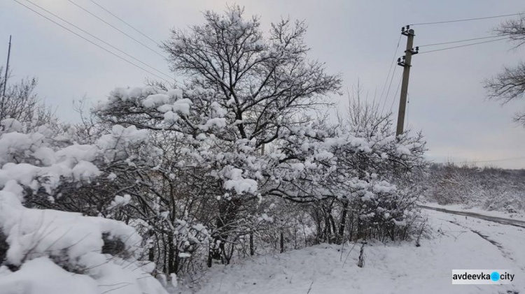 В Авдеевке снег скрыл следы войны: яркие фото