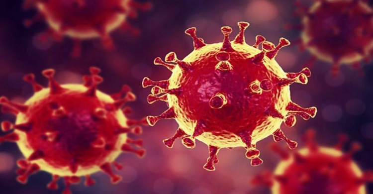 В НАН назвали две причины спада эпидемии коронавируса в Украине