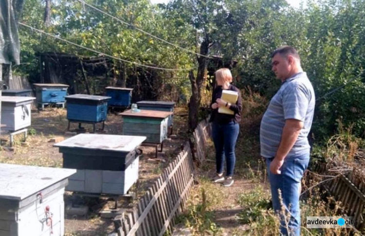 В Авдеевке проверили пасеки пчеловодов, претендующих на дотацию от государства