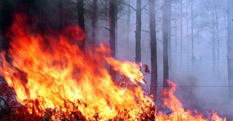 Жителей Авдеевки предупредили о чрезвычайной пожарной опасности и напомнили о запретах