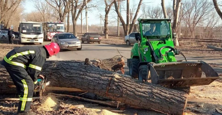 В Авдіївці впале дерево заблокувало рух транспорту