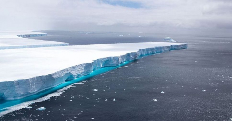 Самый большой айсберг в мире, площадью в семь Киевов, полностью растаял