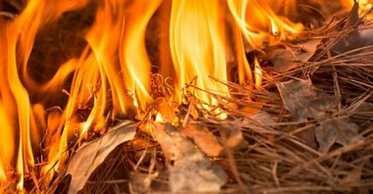 Чрезвычайная пожароопасность возвращается в Донецкую область