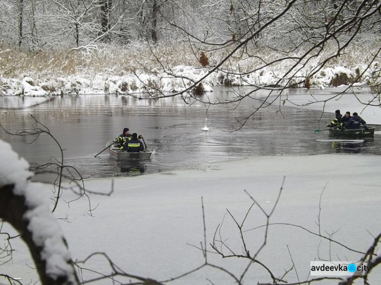 В Донецкой области из ледяной ловушки спасли лебедя с раненым крылом (ФОТО)