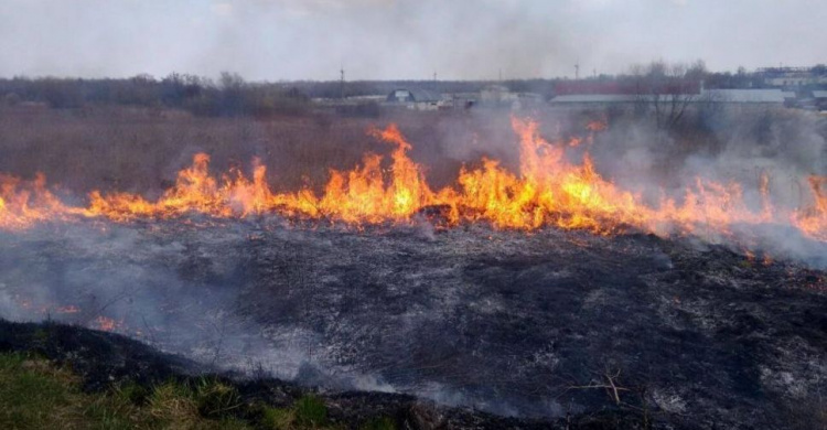 С начала года в Донецкой области произошло более 300 пожаров в природных экосистемах