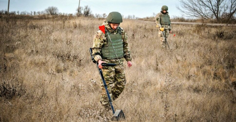 В Донецкой области уничтожили более трехсот боеприпасов (ФОТО)