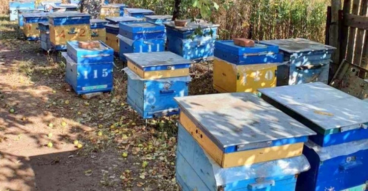 В Авдеевке проверили пасеки пчеловодов, претендующих на дотацию от государства