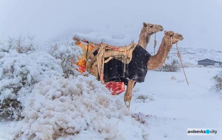 Много снега не только в Авдеевке: снег выпал в Сахаре