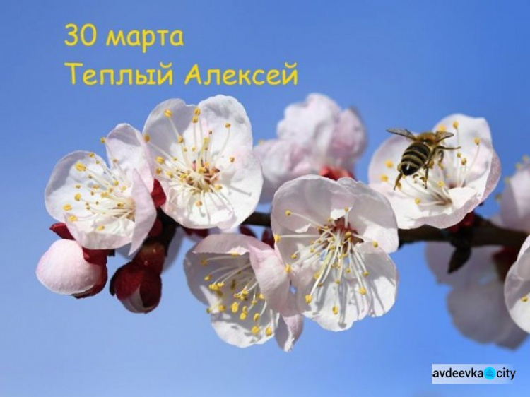 Православные авдеевцы отмечают сегодня День Теплого Алексея