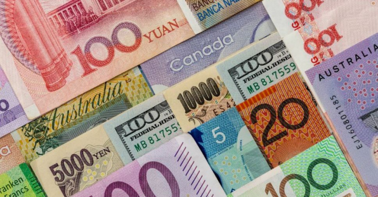 Українці стали менше купувати валюти в січні