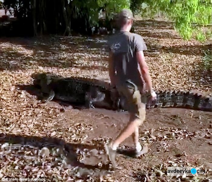 Биолог оседлал огромного крокодила для селфи (ФОТО+ВИДЕО)