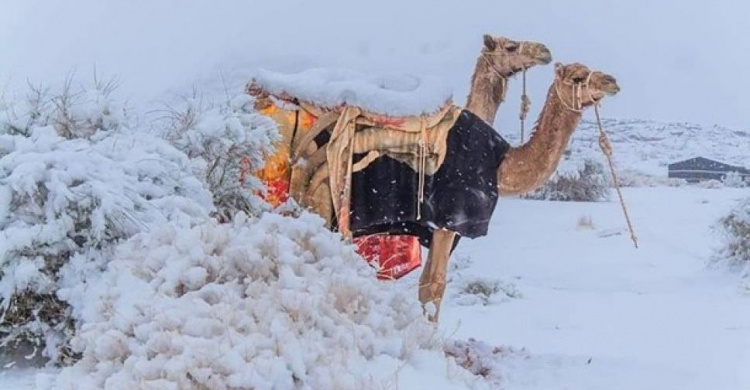 Много снега не только в Авдеевке: снег выпал в Сахаре