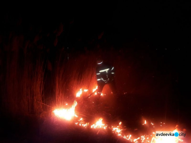 Теплая погода принесла хлопоты пожарным на Донетчине: массово горят сухая трава и камыш (ФОТО)